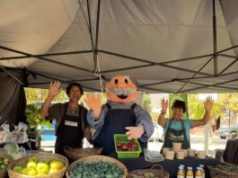 Cómo el Dr. Simi contribuye al bienestar de los adultos mayores en Chile Cómo el Dr. Simi contribuye al bienestar de los adultos mayores en Chile