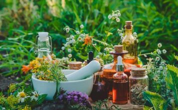 Fitopreparados para alergias: medicina alternativa para las alergias estacionales Fitopreparados para alergias: medicina alternativa para las alergias estacionales