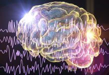 Innovación en el tratamiento de la epilepsia: Alternativas a la medicación buscan restablecer y reparar el cerebro, explica experto Innovación en el tratamiento de la epilepsia: Alternativas a la medicación buscan restablecer y reparar el cerebro, explica experto