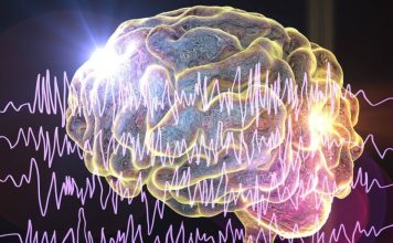 Innovación en el tratamiento de la epilepsia: Alternativas a la medicación buscan restablecer y reparar el cerebro, explica experto Innovación en el tratamiento de la epilepsia: Alternativas a la medicación buscan restablecer y reparar el cerebro, explica experto