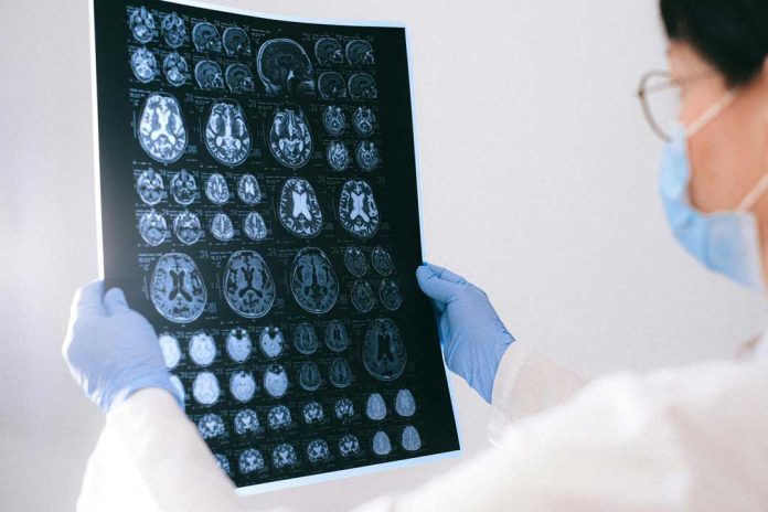 Investigación estudia cómo el cerebro adquiere experticia visual al procesar imágenes Investigación estudia cómo el cerebro adquiere experticia visual al procesar imágenes