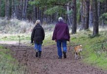 Mes del Adulto Mayor: Los riesgos de las caídas y la complejidad de la recuperación Mes del Adulto Mayor: Los riesgos de las caídas y la complejidad de la recuperación