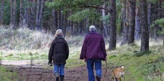 Mes del Adulto Mayor: Los riesgos de las caídas y la complejidad de la recuperación