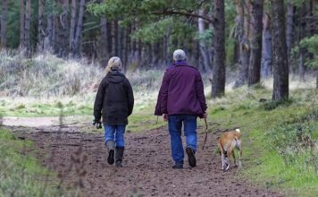 Mes del Adulto Mayor: Los riesgos de las caídas y la complejidad de la recuperación Mes del Adulto Mayor: Los riesgos de las caídas y la complejidad de la recuperación