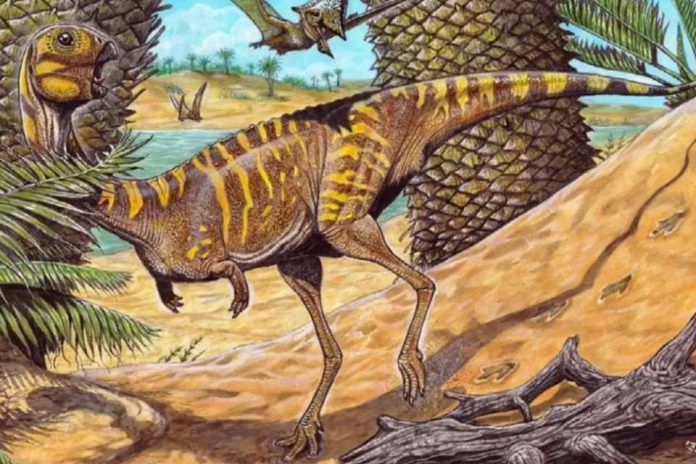 Museo Nacional de Río y Siemens Healthineers usan escáner médico para estudiar un dinosaurio