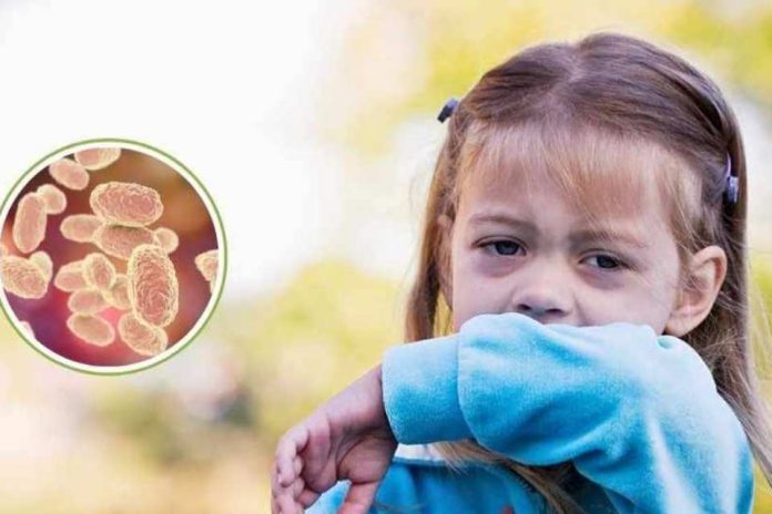 The Lancet Infectious Diseases destaca política de inmunización contra VRS impulsado por ministra Aguilera