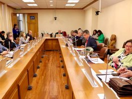 Avanza en la Comisión de Salud de la Cámara de Diputados reforma a la Ley Ricarte Soto para mejorar cobertura de tratamientos de alto costo