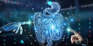 5 claves para entender qué son los probióticos y por qué son importantes para la salud 5 claves para entender qué son los probióticos y por qué son importantes para la salud