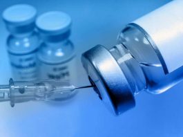 Brote de Marburgo en África reabre debate sanitario: ¿qué tan peligroso es? Brote de Marburgo en África reabre debate sanitario: ¿qué tan peligroso es?