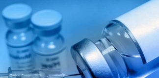 Brote de Marburgo en África reabre debate sanitario: ¿qué tan peligroso es?