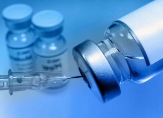 Brote de Marburgo en África reabre debate sanitario: ¿qué tan peligroso es?