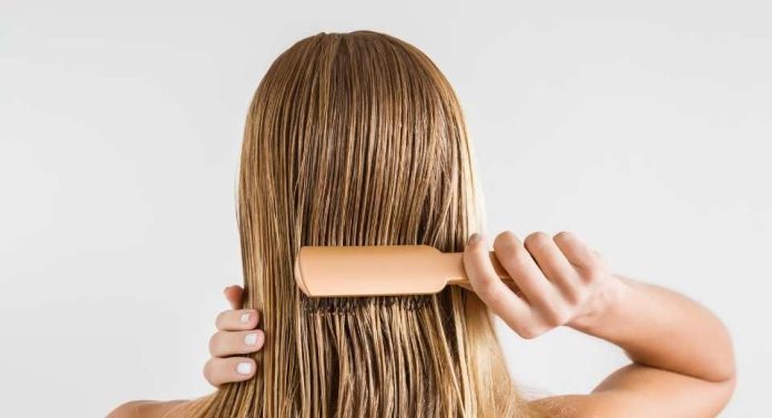 ¿Cuándo cambiar tu cepillo o peineta las 5 señales clave para evitar daño capilar ¿Cuándo cambiar tu cepillo o peineta las 5 señales clave para evitar daño capilar
