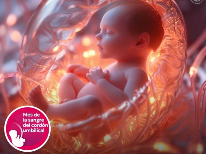 Día Mundial de la Sangre de Cordón Umbilical: un recurso biológico que salva vidas