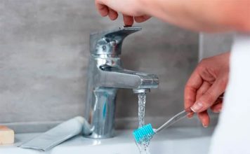 ¿Mojas el cepillo antes de lavarte los dientes?: Más del 40% de los chilenos dice tener una salud bucal regular