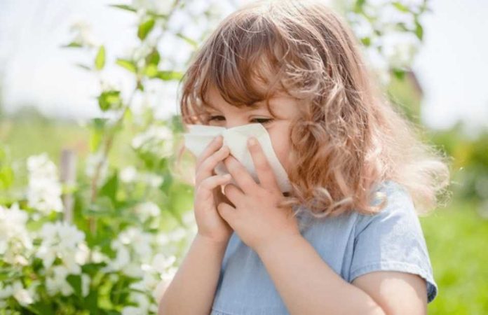 Rinitis alérgica en niños cómo reconocer esta patología primaveral que afecta al 20% de la población infantil en Chile. Rinitis alérgica en niños: cómo reconocer esta patología primaveral que afecta al 20% de la población infantil en Chile.