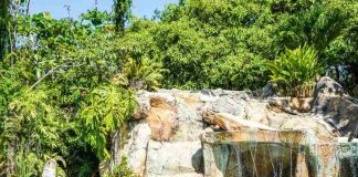 Se inicia la temporada de piscina. ¿Cómo disfrutarla sin riesgos de lesiones?