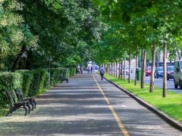 Altas temperaturas: experta UCSC advierte cómo el diseño urbano puede reducir las islas de calor en las ciudades Altas temperaturas: experta UCSC advierte cómo el diseño urbano puede reducir las islas de calor en las ciudades