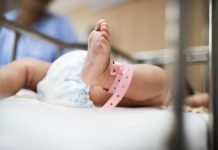 Avanza proyecto para desarrollar una placenta artificial Avanza proyecto para desarrollar una placenta artificial