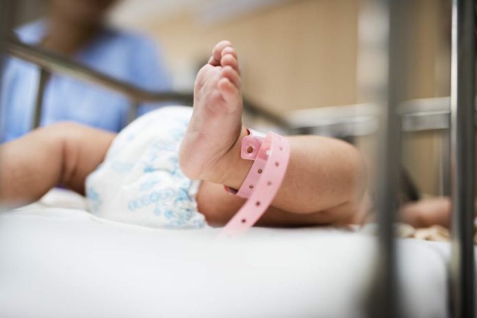 Avanza proyecto para desarrollar una placenta artificial