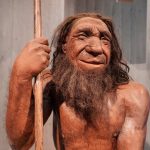 Científicos chilenos descubren un rasgo poco conocido sobre los neandertales