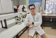 Investigación aborda efecto antioxidante y neuroprotector del digüeñe Investigación aborda efecto antioxidante y neuroprotector del digüeñe