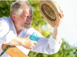 ALTAS TEMPERATURAS EN CHILE: MÁS DE 500 MUERTES ANUALES POR CALOR EXTREMO AFECTAN PRINCIPALMENTE A LAS PERSONAS MAYORES