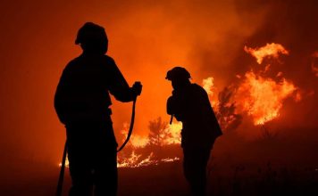 Académicos UCSC entregan recomendaciones clave ante incendios forestales que afectan a Chile Académicos UCSC entregan recomendaciones clave ante incendios forestales que afectan a Chile