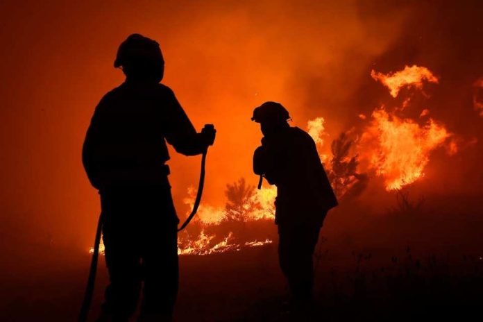 Académicos UCSC entregan recomendaciones clave ante incendios forestales que afectan a Chile Académicos UCSC entregan recomendaciones clave ante incendios forestales que afectan a Chile