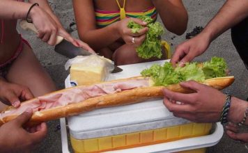 Altas temperaturas, traslados y cambios en los hábitos de consumo elevan el riesgo de intoxicaciones y gastroenteritis en verano. Expertos advierten sobre la manipulación segura de alimentos y el uso responsable de medicamentos para no terminar en urgencias durante las vacaciones.