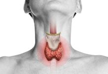 Examen de tiroides: Qué mide realmente y cuándo conviene controlarlo Examen de tiroides: Qué mide realmente y cuándo conviene controlarlo