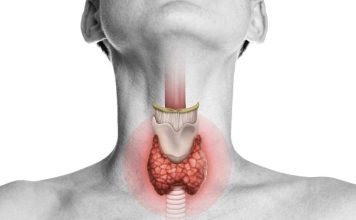 Examen de tiroides: Qué mide realmente y cuándo conviene controlarlo