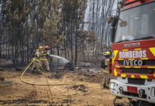 Gobierno refuerza seguridad y acelera ayudas: Bonos de $1.5 millones comenzarán a entregarse este fin de semana Gobierno refuerza seguridad y acelera ayudas