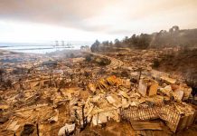 Humo de incendios forestales: riesgos para la salud y cómo protegerse Humo de incendios forestales: riesgos para la salud y cómo protegerse