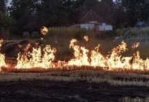 Incendios en Chile: especialista en salud mental comparte recomendaciones para superar el impacto emocional de una catástrofe Incendios en Chile especialista en salud mental comparte recomendaciones para superar el impacto emocional de una catástrofe