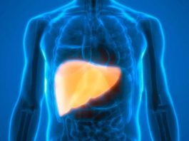 Investigación revela que derivado del Omega 3 podría atenuar el daño hepático por diabetes