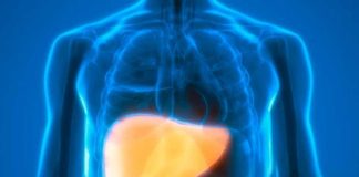 Investigación revela que derivado del Omega 3 podría atenuar el daño hepático por diabetes