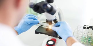 Investigadores de Mayo Clinic encuentran una nueva esperanza para el mieloma más difícil mediante inmunoterapia lista para usar