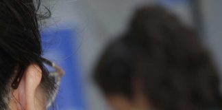 Operativos comunales de vacunación antirrábica se desplegarán en Puente Alto durante enero