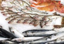 Pescados y mariscos en verano: Cómo aprovechar sus beneficios nutricionales de forma segura y saludable Pescados y mariscos en verano Cómo aprovechar sus beneficios nutricionales de forma segura y saludable