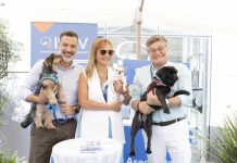 Seguros SURA lanza “Seguro Mascota Protegida” con una cobertura anual de hasta $20 millones