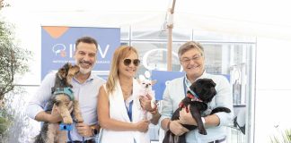 Seguros SURA lanza “Seguro Mascota Protegida” con una cobertura anual de hasta $20 millones Seguros SURA lanza “Seguro Mascota Protegida” con una cobertura anual de hasta $20 millones