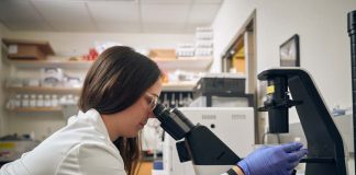 Soluciones avanzadas y tratamientos innovadores marcan la ruta de la salud y bienestar animal Soluciones avanzadas y tratamientos innovadores marcan la ruta de la salud y bienestar animal