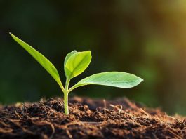 Territorios heridos Territorios heridos