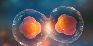 Expertos internacionales abordarán estrés oxidativo e implicancias del envejecimiento en la UTalca