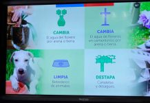 Eliminar los criaderos de mosquitos en el hogar disminuye la reproducción del vector Aedes aegypti