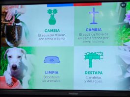 Eliminar los criaderos de mosquitos en el hogar disminuye la reproducción del vector Aedes aegypti