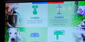 Eliminar los criaderos de mosquitos en el hogar disminuye la reproducción del vector Aedes aegypti