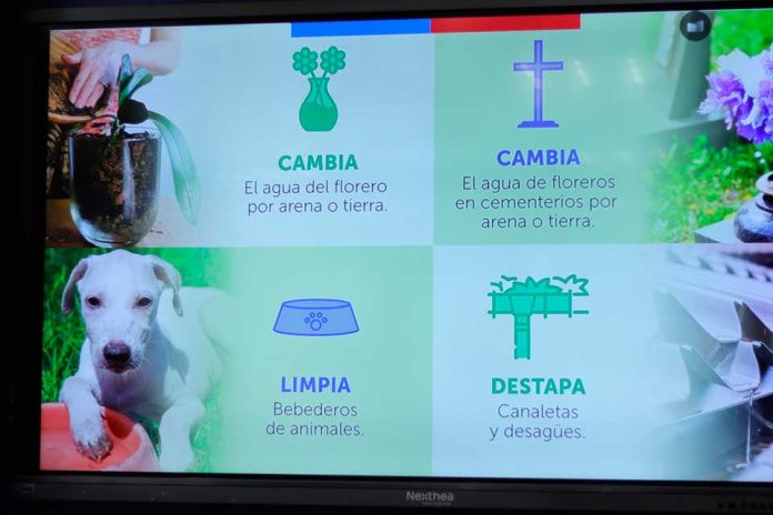 Eliminar los criaderos de mosquitos en el hogar disminuye la reproducción del vector Aedes aegypti