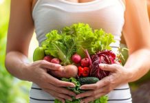 Nutricionista advierte sobre posible efecto de las altas temperaturas en la Microbiota Intestinal Nutricionista advierte sobre posible efecto de las altas temperaturas en la Microbiota Intestinal