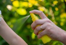 Picaduras de insectos y arácnidos en verano ¿Cómo prevenirlas y cuándo acudir a urgencias? Picaduras de insectos y arácnidos en verano